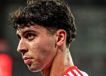 Franco Zanelatto: salario y costes de transferencia