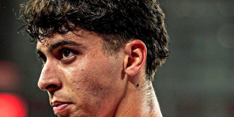 Franco Zanelatto: salario y costes de transferencia